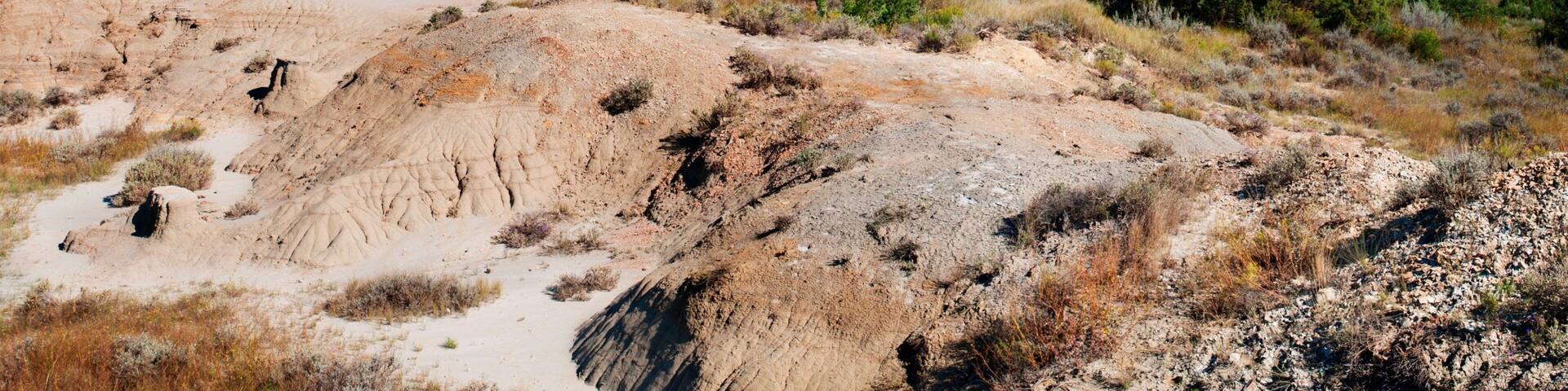 西奥多·罗斯福国家公园