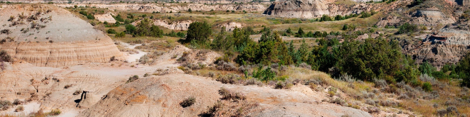 Theodore Roosevelt National Park