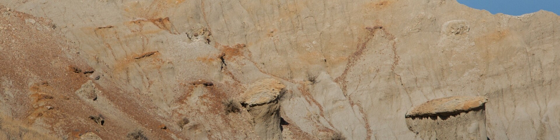 Parque Nacional de Theodore Roosevelt caracterizando animais terrestres e cenas tranquilas