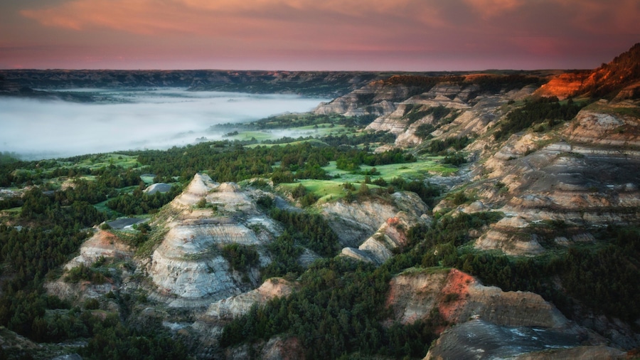 Theodore Roosevelt National Park