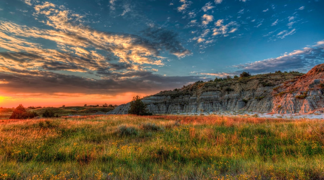 Parque Nacional Theodore Roosevelt