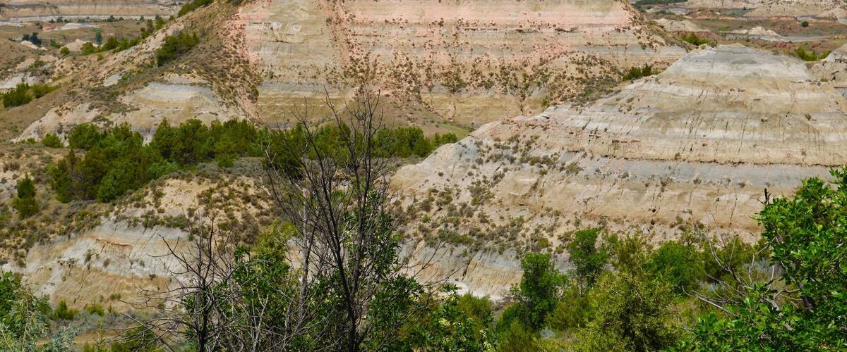 We walked the nature trail from the visitor center at Painted Canyon. About a 30 minute hike with some beautiful views inside the canyon.
