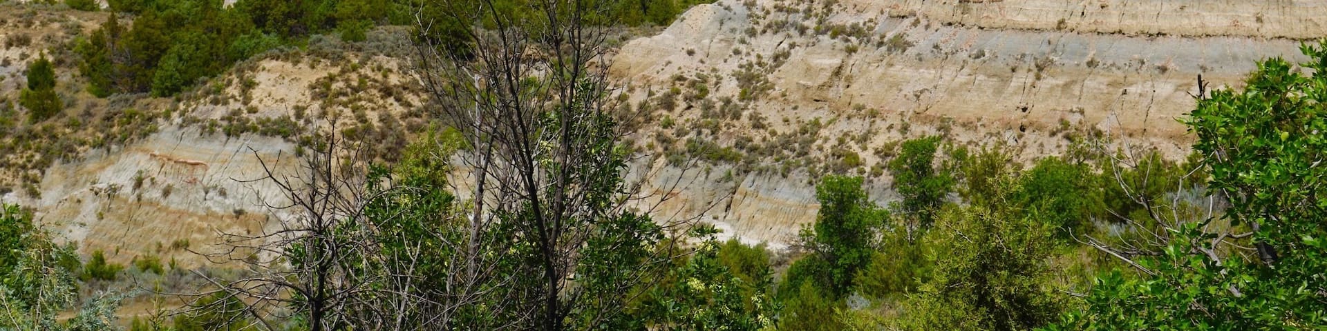 We walked the nature trail from the visitor center at Painted Canyon. About a 30 minute hike with some beautiful views inside the canyon.