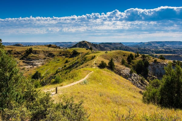 Theodore Roosevelt Nationalpark welches beinhaltet ruhige Szenerie und Landschaften