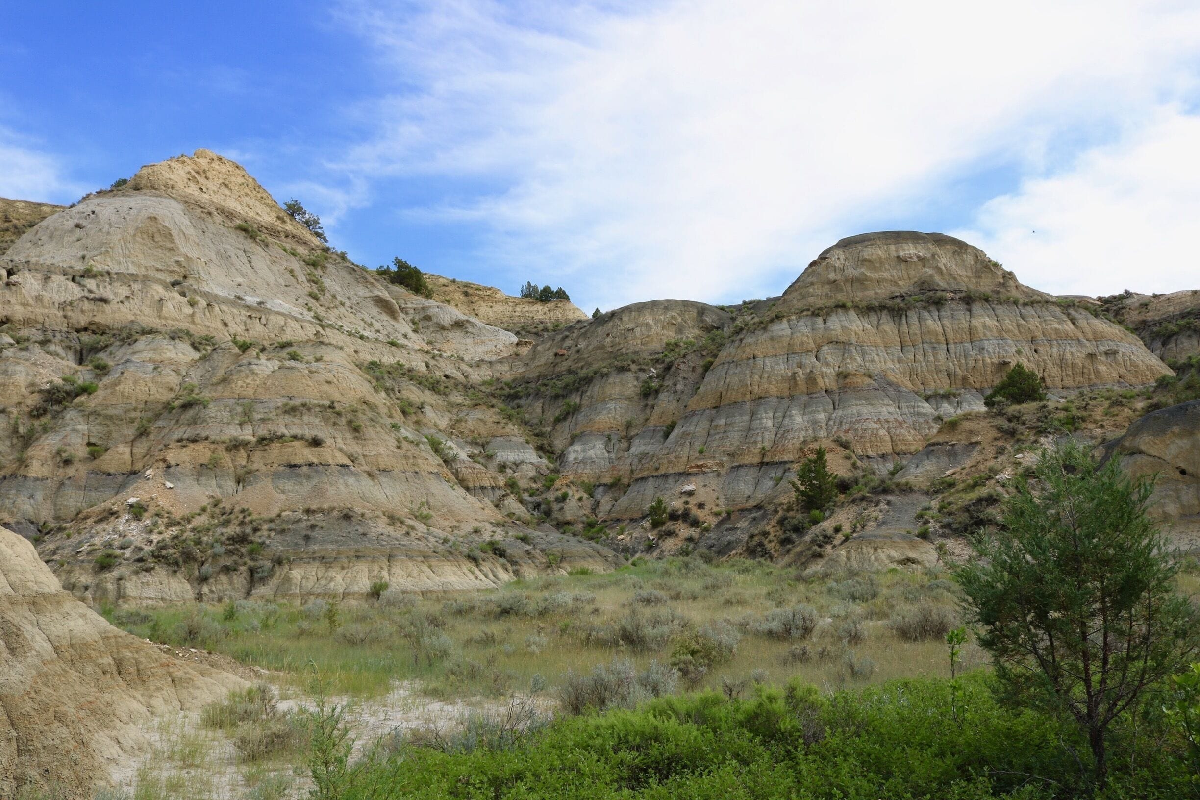 North Unit of Park on the Caprock Coulee Trail.  A great 4+ mile hike that highlights the different Geologic zones of the park.