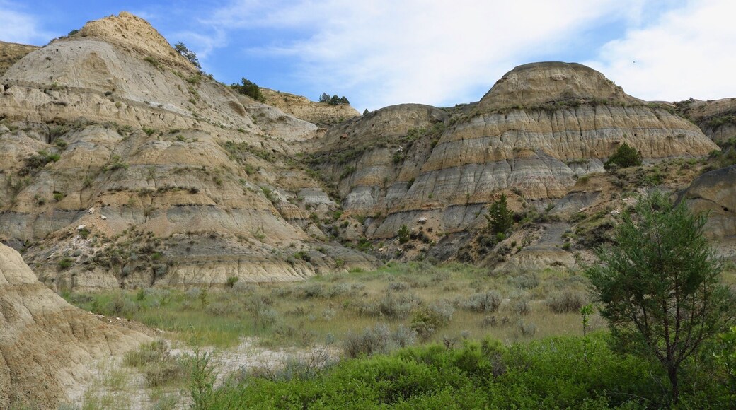 North Unit of Park on the Caprock Coulee Trail. A great 4+ mile hike that highlights the different Geologic zones of the park.