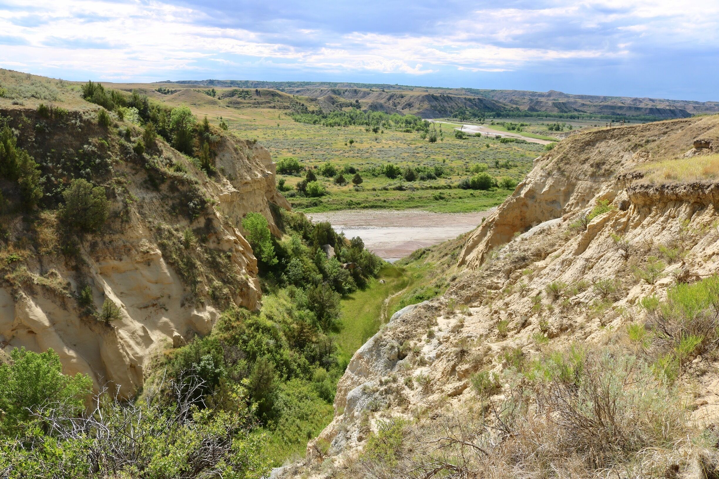 Wind Canyon in the park's South Unit. In the distance you can see the Little Missouri river. From the point on the right we could see 3 separate herds of bison on the prairie land and a small herd of wild horses in the middle of the shallow river.