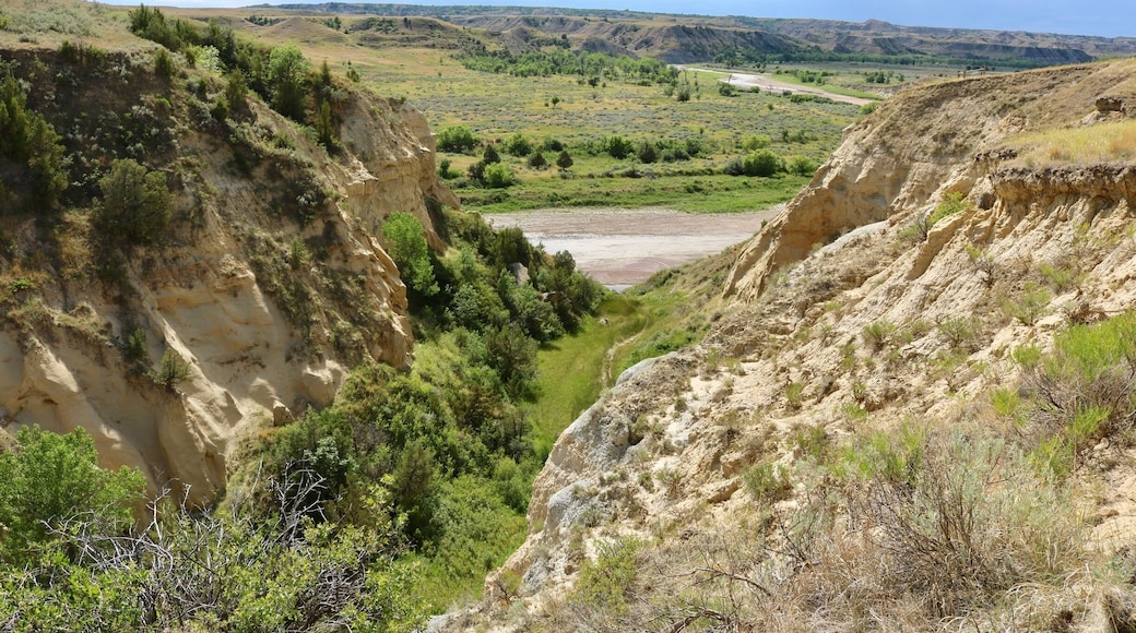 Wind Canyon in the park's South Unit. In the distance you can see the Little Missouri river. From the point on the right we could see 3 separate herds of bison on the prairie land and a small herd of wild horses in the middle of the shallow river.