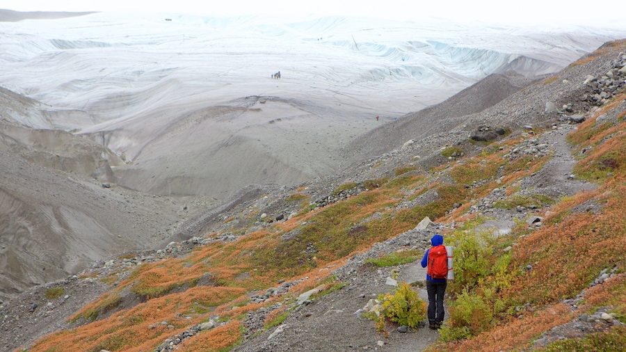 Wrangell-St. Elias National Park and Preserve featuring hiking or walking