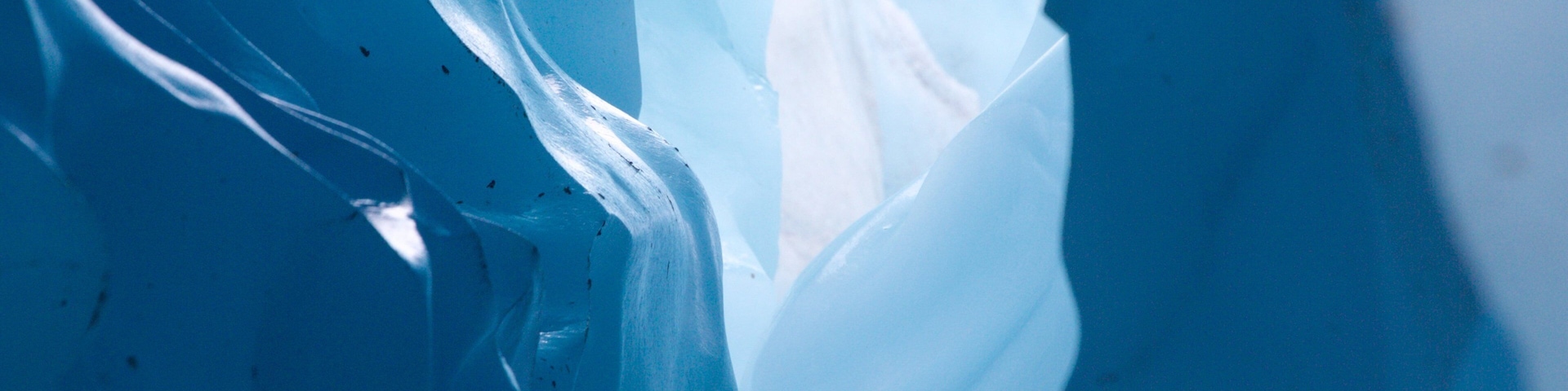 Wrangell-St. Elias National Park featuring interior views and snow