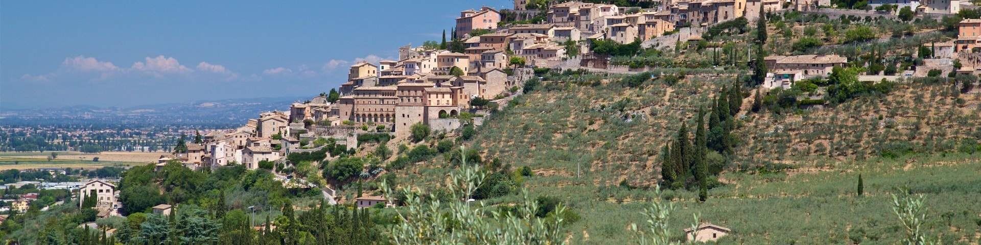 Trevi que incluye una ciudad y vistas panorámicas