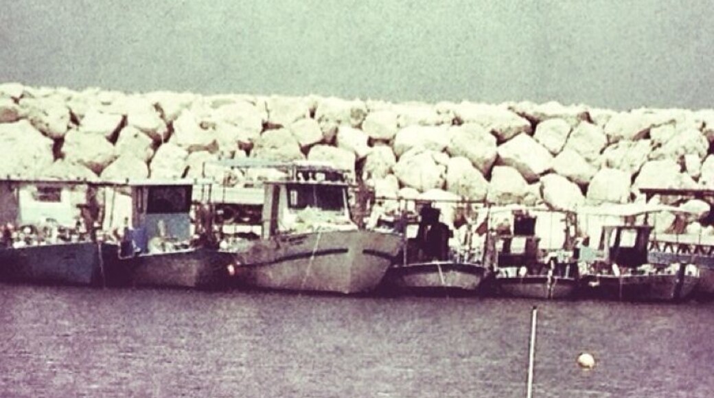 Fishing boats lined up along the harbour wall at Latchi. Photo taken from the Sea Crest Restaurant