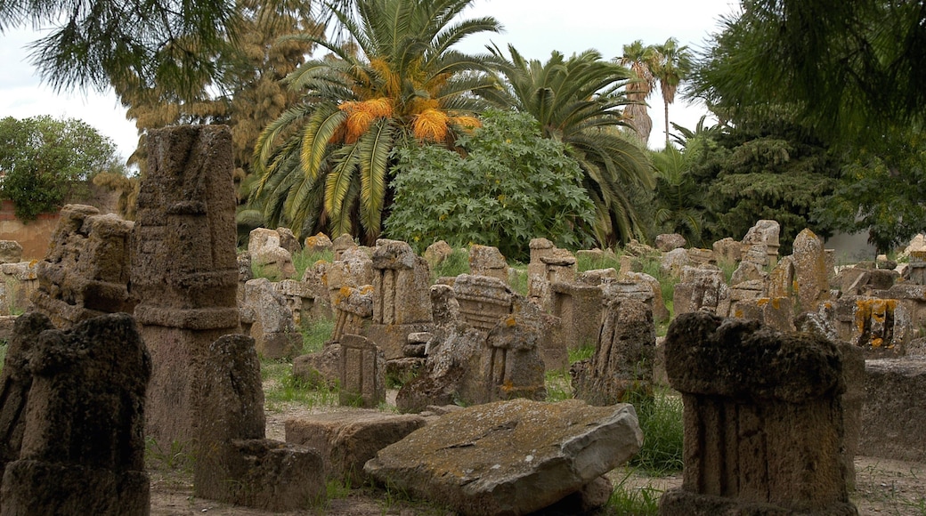 Tunis which includes building ruins