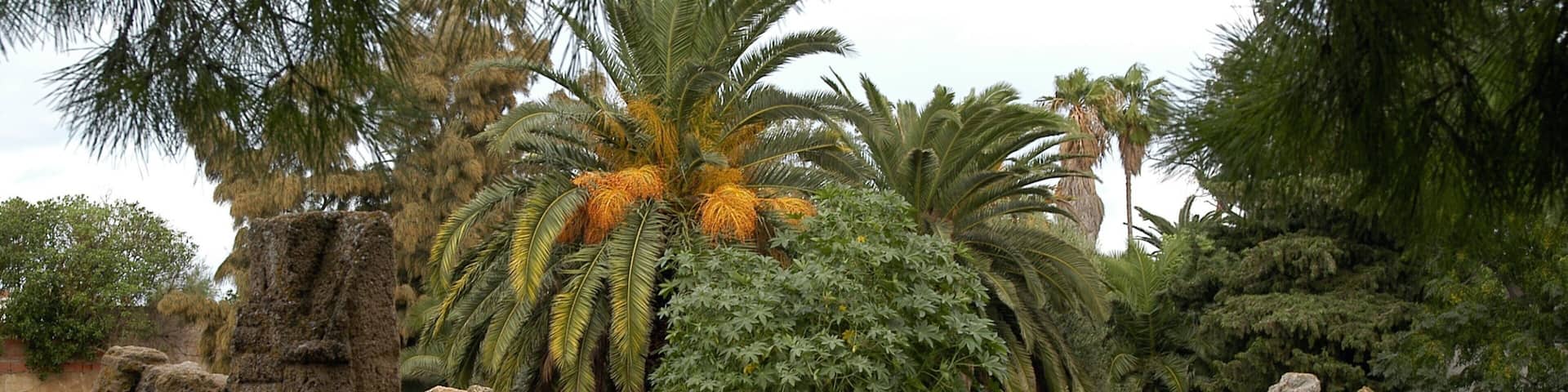 Tunis which includes building ruins