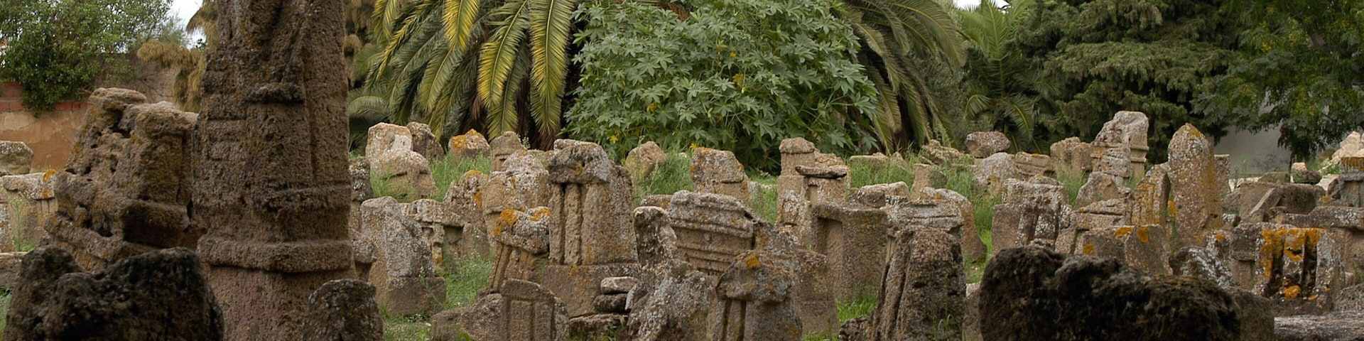 Tunis which includes building ruins