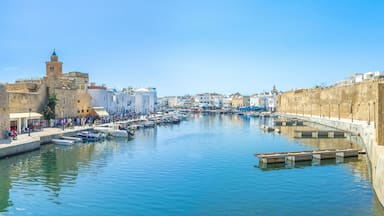 View from the bridge