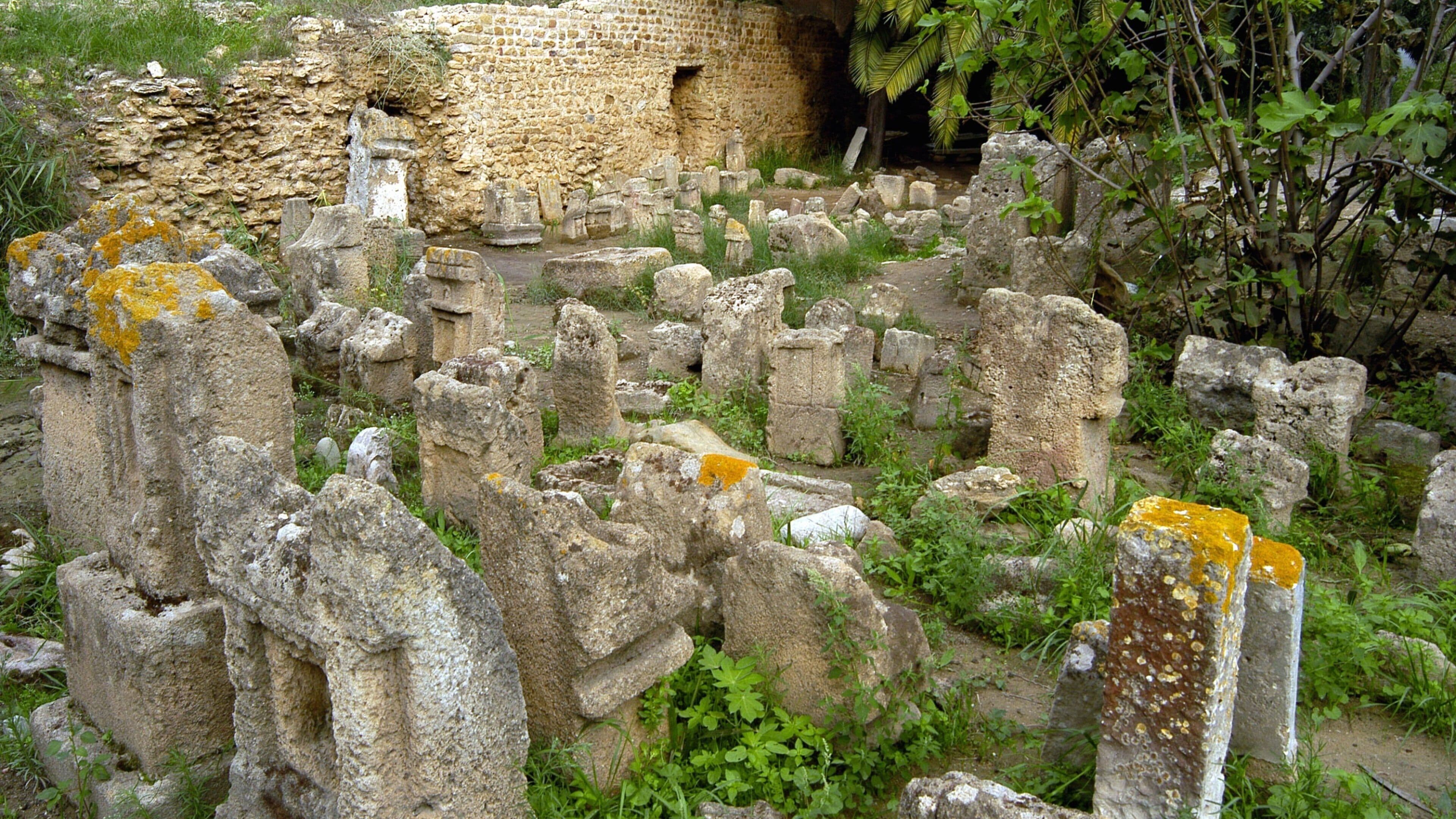 Tunis featuring building ruins