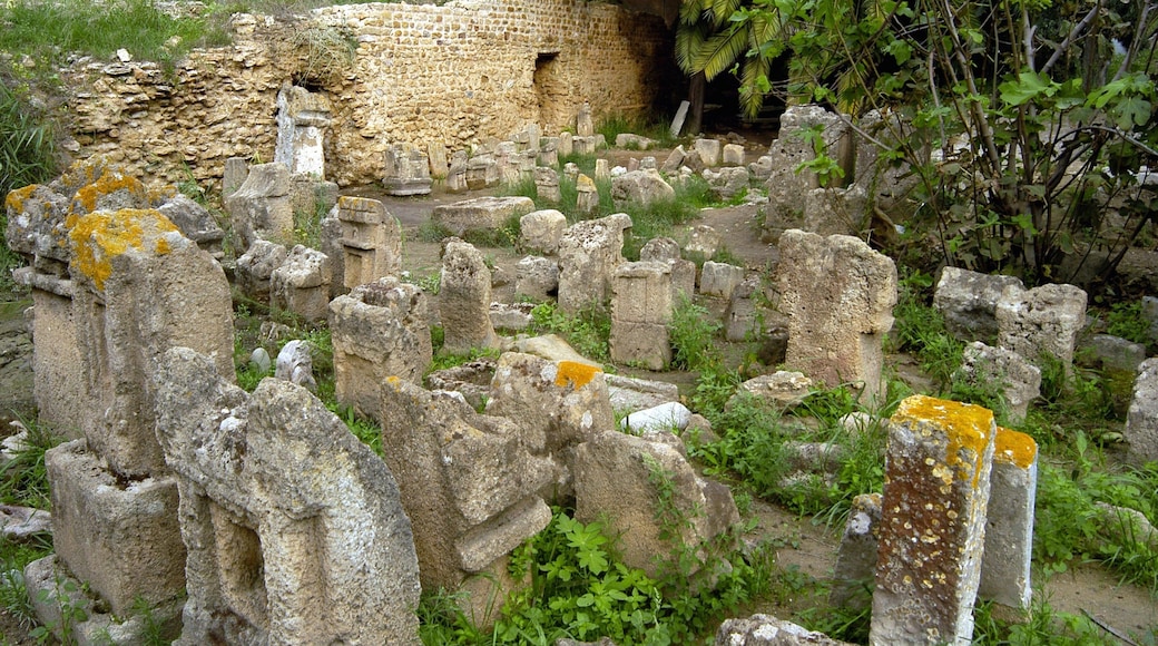 Tunis featuring building ruins