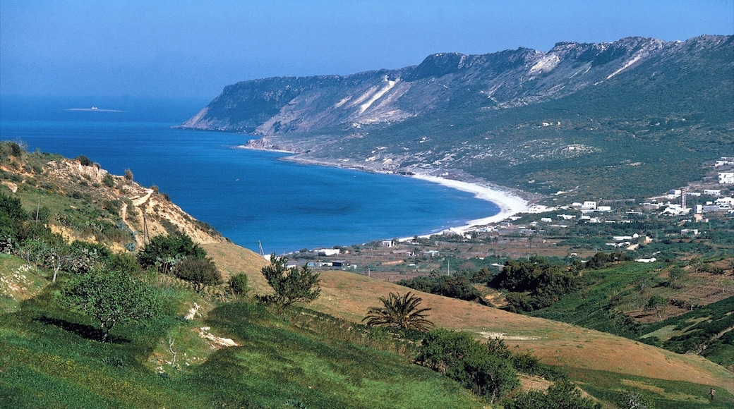 Tunis which includes a coastal town