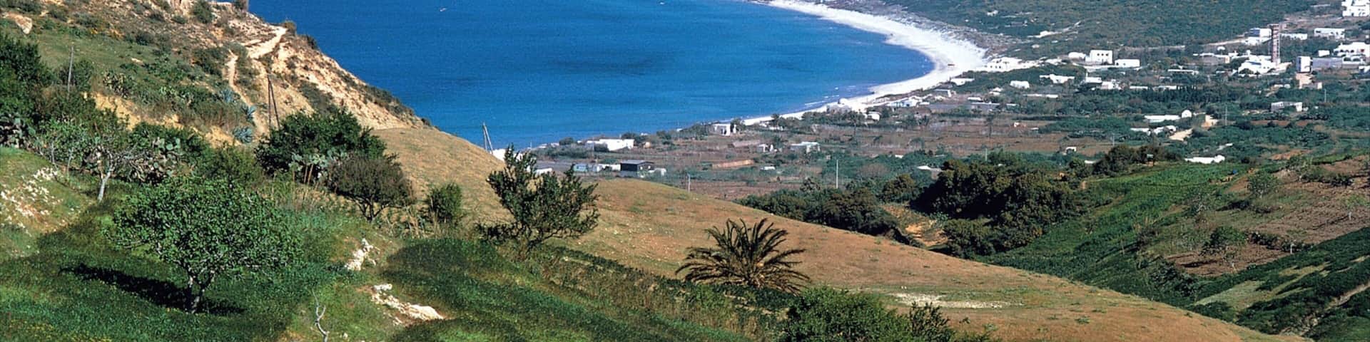 Tunis which includes a coastal town