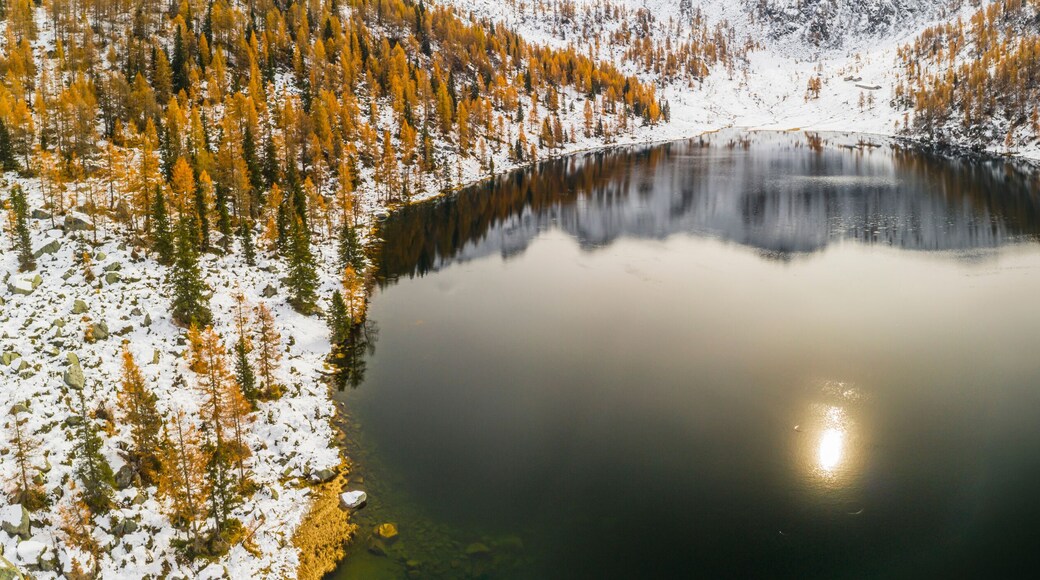 Aerial view of San Giuliano lake reflecting mountains, surrounded by snow-dusted golden trees. San Giuliano Lakes,Adamello Brenta Natural Park,Caderzone Terme,Trentino,Italy