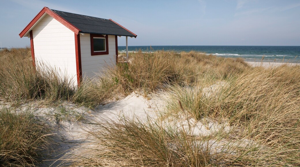 Skanör som inkluderar en sandstrand
