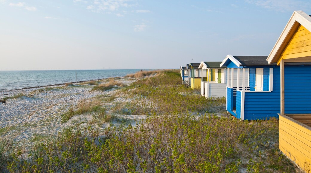 Skanör which includes a sandy beach