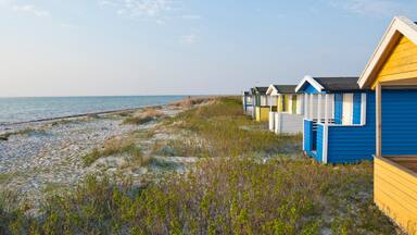 Skanör which includes a sandy beach