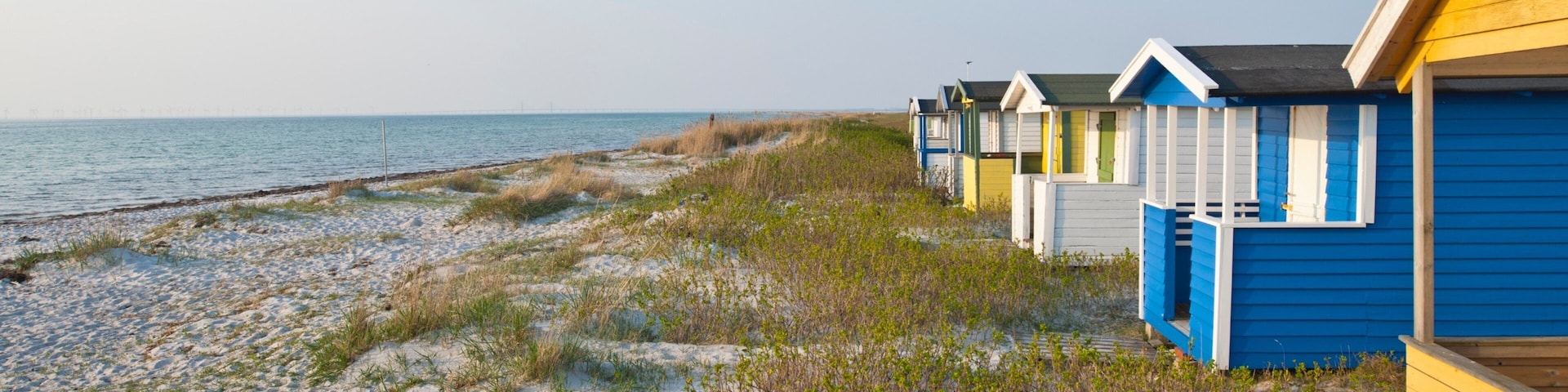 Skanör which includes a sandy beach