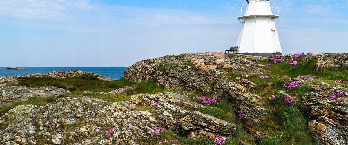 A white lighthouse with a red roof on a rocky coastline with pink flowers.