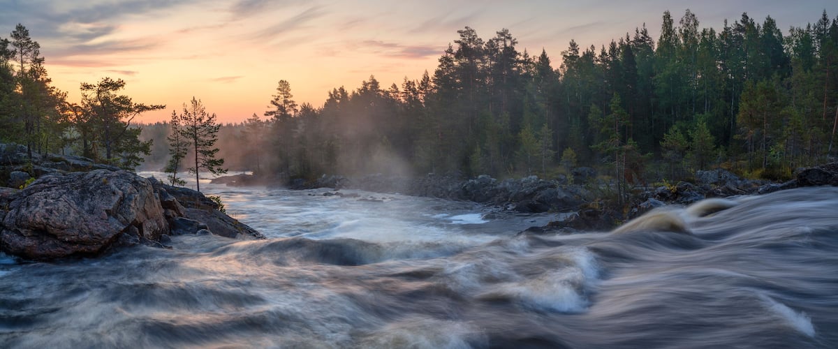 A river flowing through a forest at sunset.