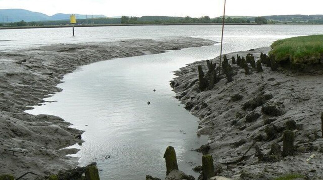 This once was a harbour. The rotting wooden poles and this small creek in the mudflats are all that remain of Airth's once-thriving little harbour and boat-building business.