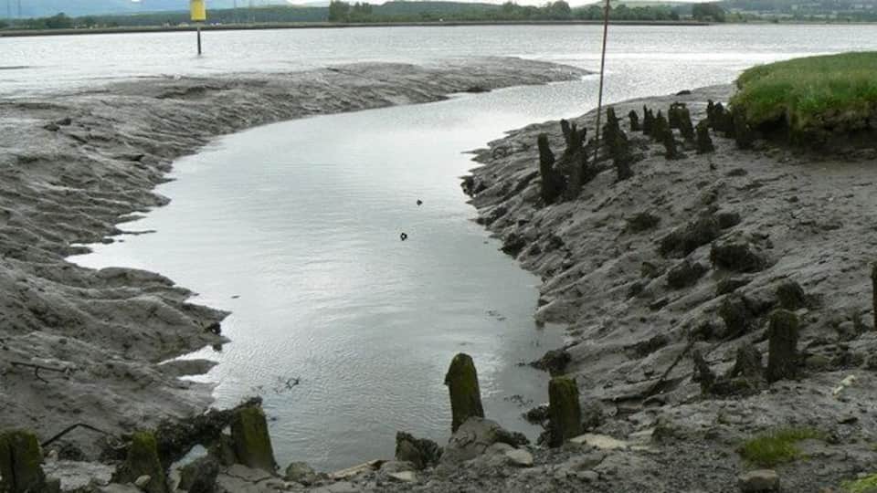This once was a harbour. The rotting wooden poles and this small creek in the mudflats are all that remain of Airth's once-thriving little harbour and boat-building business.
