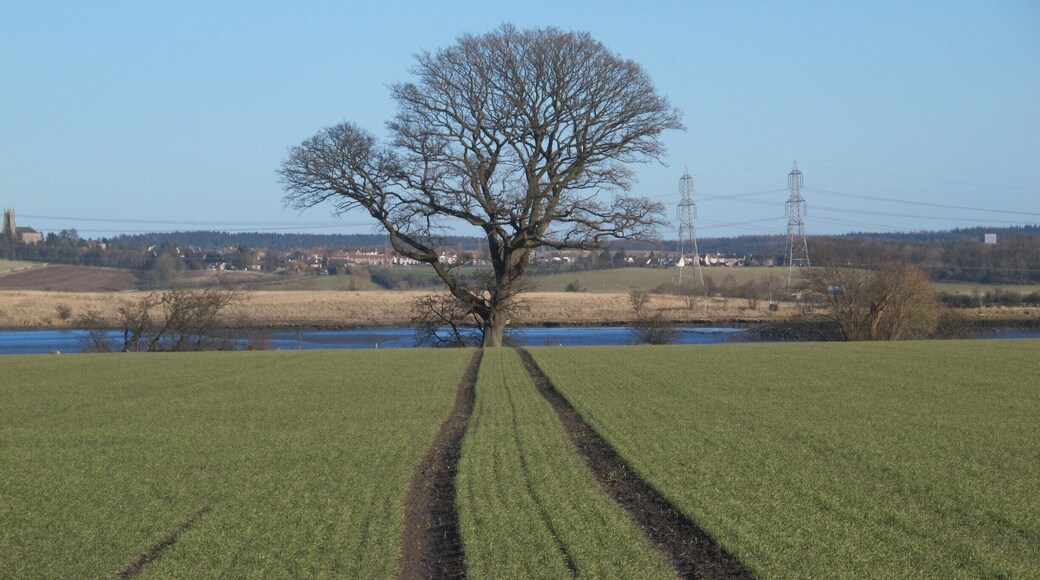 A "Back to the Future" moment.....