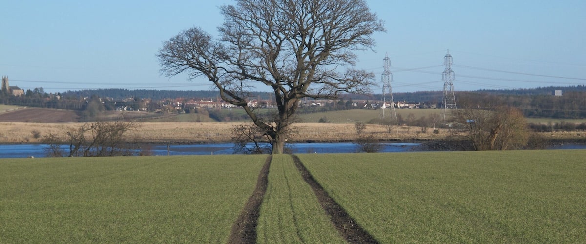 A "Back to the Future" moment.....