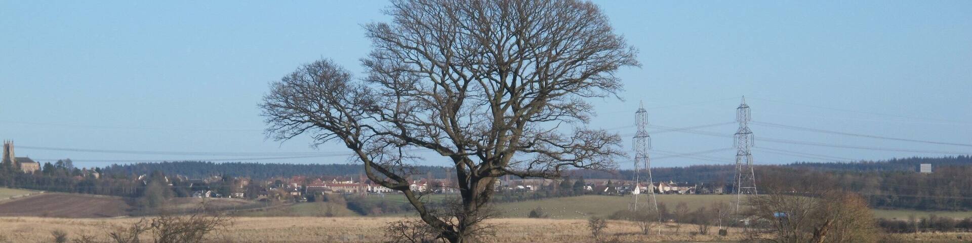 A "Back to the Future" moment.....