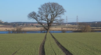 A "Back to the Future" moment.....