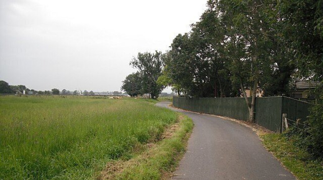 Access road, Haughs of Airth Road to Haughs of Airth from the A905. Passing Haughs of Airth Cottages. The road is used by Route 76 of the National Cycle Network.