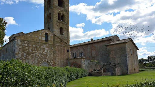 Sovicille