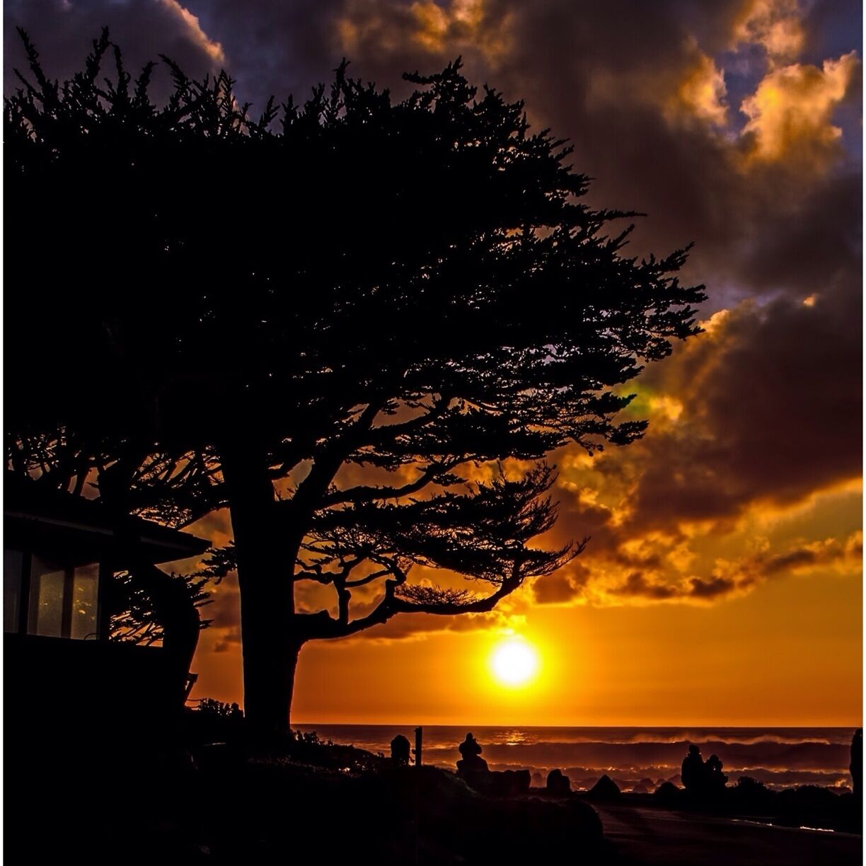 A silhouette of a tree against a sunset with the sun partially obscured by clouds.