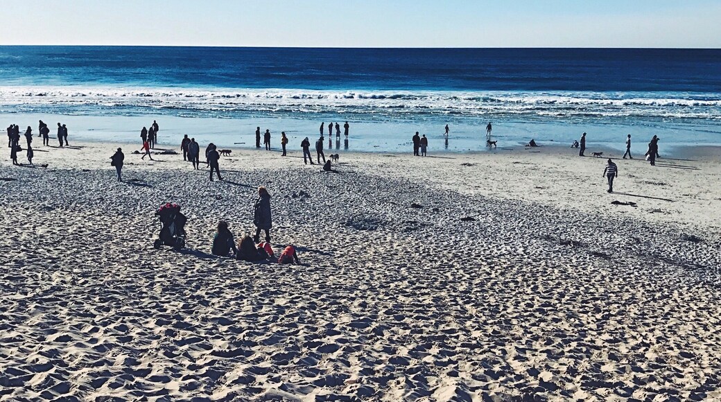 Crisp day out on the beaches of Carmel. #lifeatexpedia