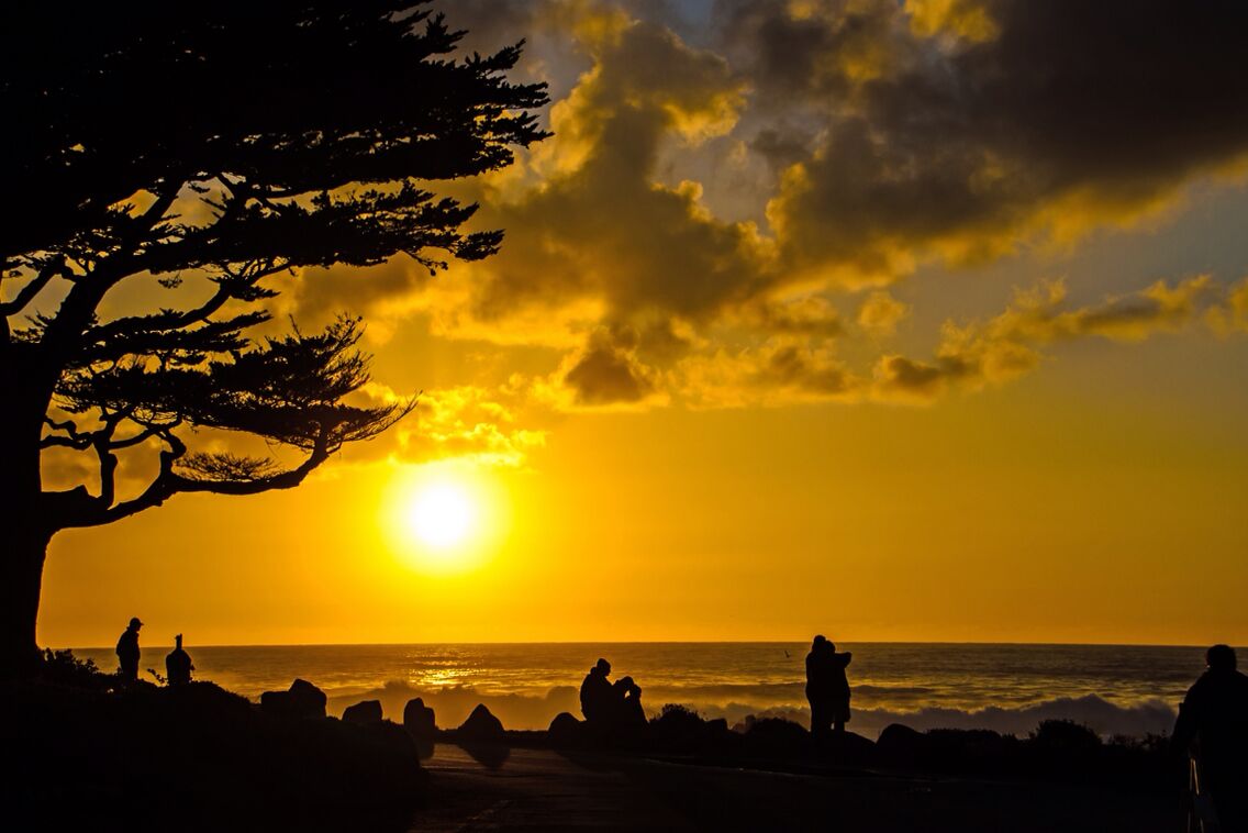 A sunset over the ocean with silhouettes of people and a tree on the left.