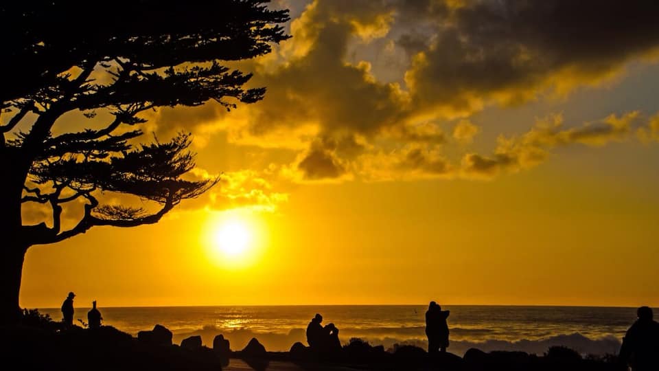 A sunset over the ocean with silhouettes of people and a tree on the left.
