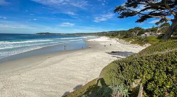 View of Carmel Beach from Scenic Rd.