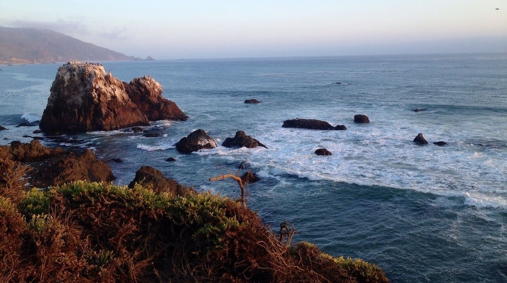 Perfect spot to camp or hike, with pristine beaches and trails that take you over the beach and through the redwoods. $25/night or $10/day.
#waterlust