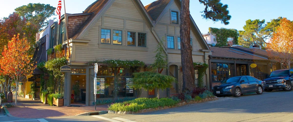 A two-story building with a gabled roof, a flagpole with an American flag, and a sign that reads "Alain Pinel."