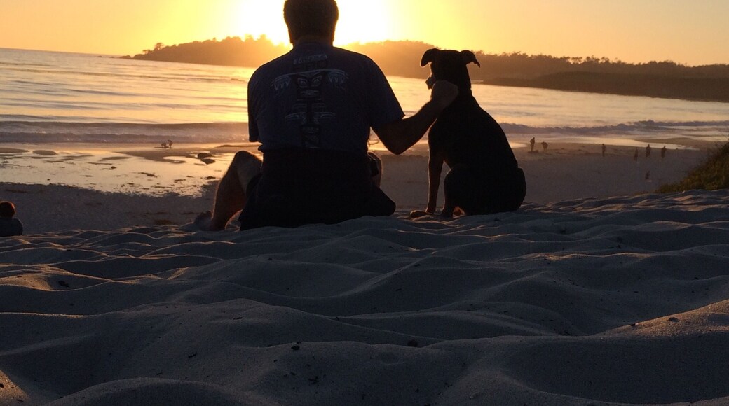 Sunset in Carmel
#Beachbound