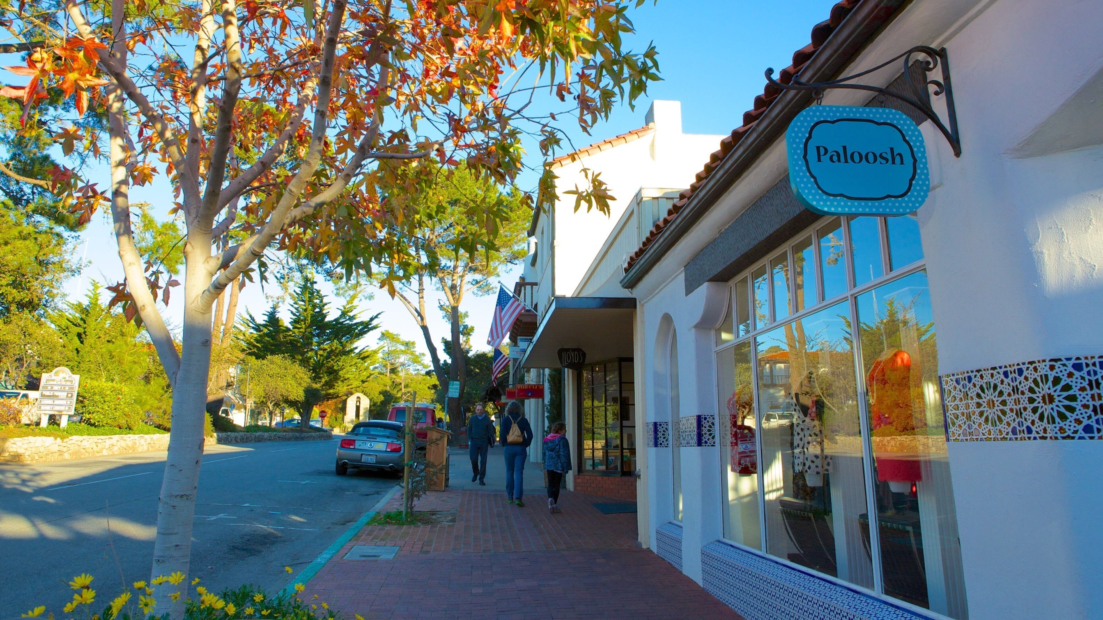 Carmel featuring street scenes, shopping and autumn leaves