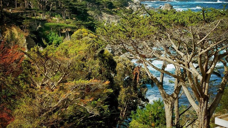 View of the Carmel highlands from the balcony of the room I had, their breakfast in room is pretty awesome too. :)