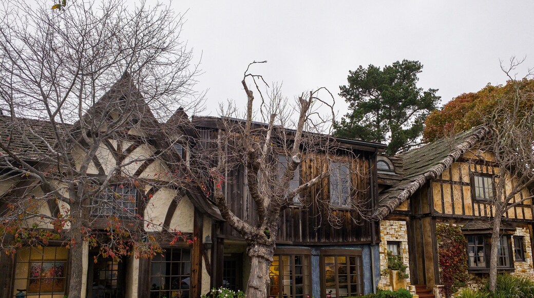 Art galleries in beautiful downtown Carmel.